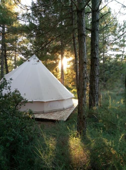 Forest Days Navés Exterior photo