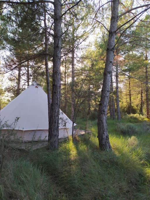 Forest Days Navés Exterior photo
